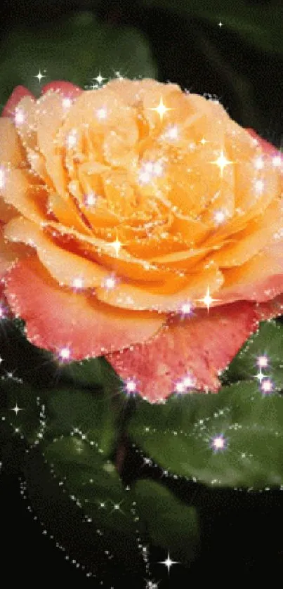 Orange rose with sparkles and green leaves wallpaper.