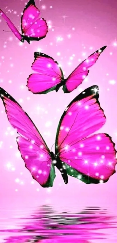 Sparkling pink butterflies with water reflection.