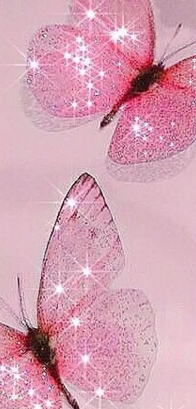 Two sparkling pink butterflies on a dreamy background.