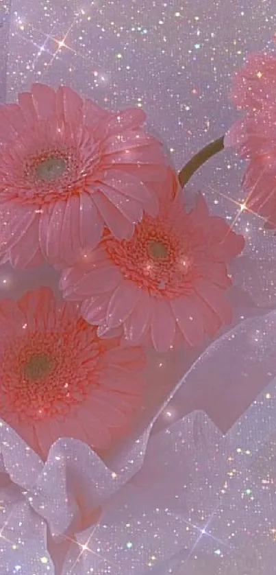 Beautiful pink daisies with a sparkling glitter background wallpaper.