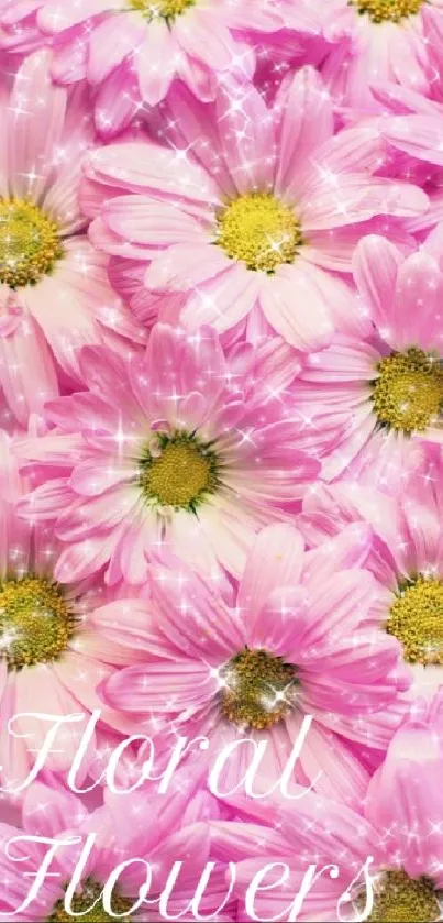 Sparkling pink daisy wallpaper with floral patterns.