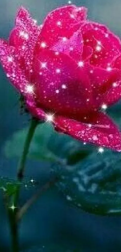 Sparkling pink rose with dewdrops against dark blue backdrop.