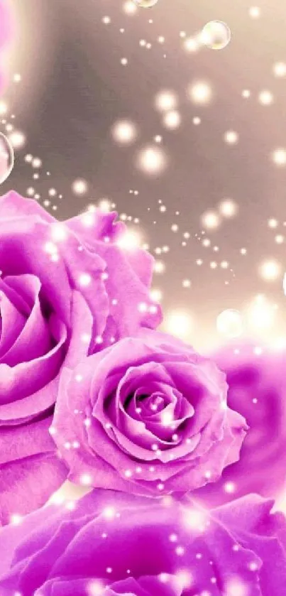 Vibrant pink roses with sparkling bubbles in a dreamy background.