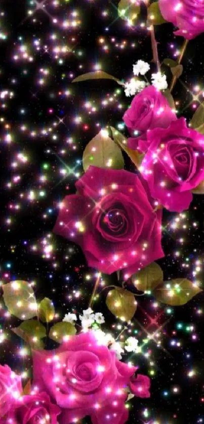 Sparkling pink roses with starry black background wallpaper.