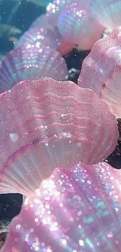 Mesmerizing sparkling pink shells underwater.