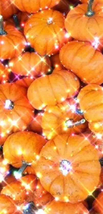 Sparkling orange pumpkins with festive light effects.