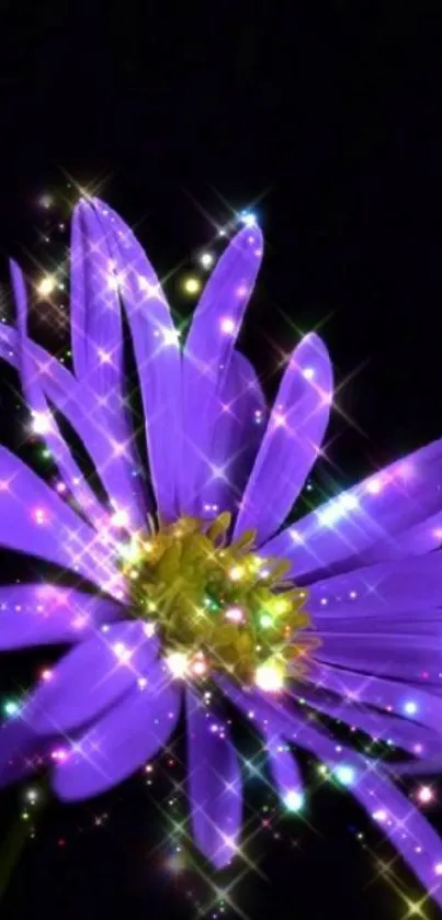 Sparkling purple flower on a dark background.