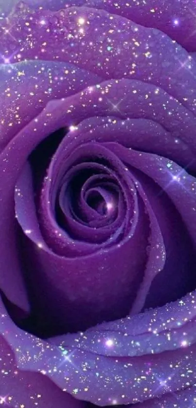 Shimmering purple rose with glitter sparkles.