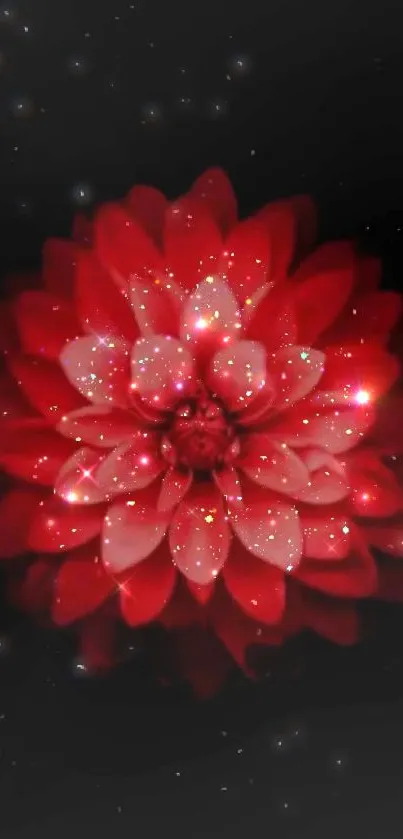 Sparkling red flower with celestial background.