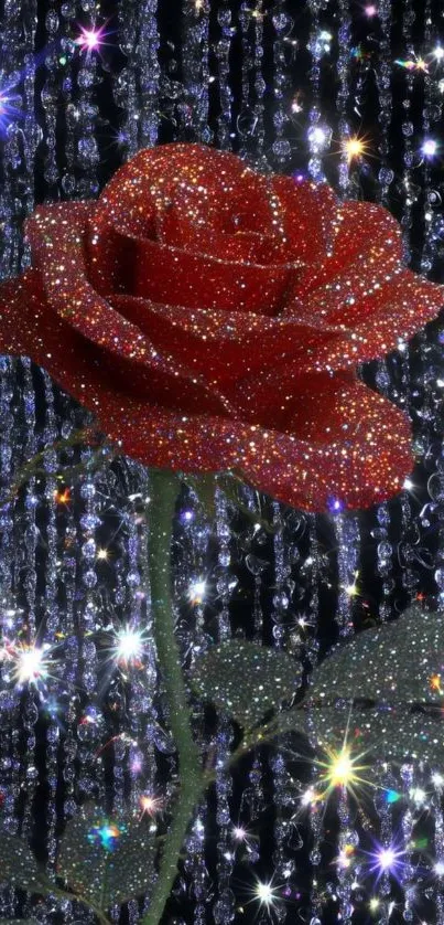 Sparkling red rose with glittering background.