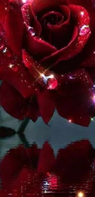 Sparkling red rose reflected in water.