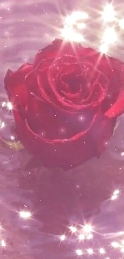 A red rose in sparkling water creates a serene mobile wallpaper.