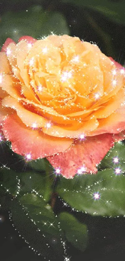 Sparkling orange and pink rose with glowing effects on a dark background.