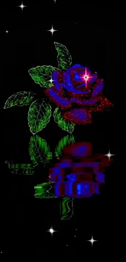 Sparkling red and blue rose with reflection on a black background.