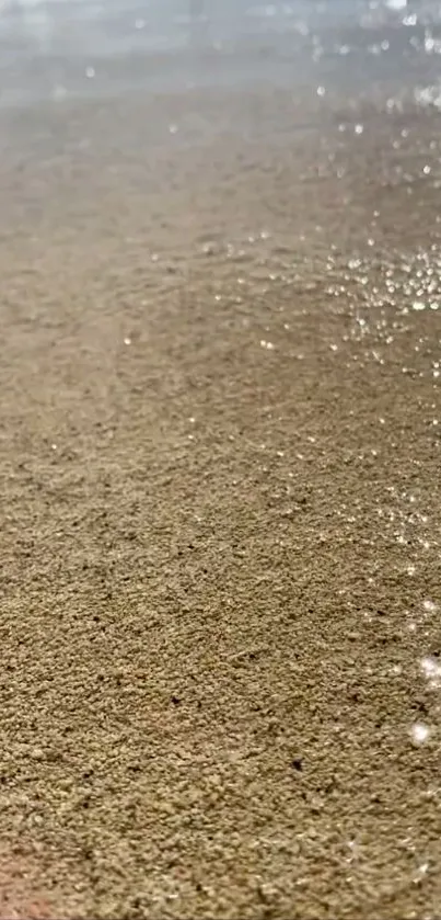 Close-up of sparkling sand on a serene beach.