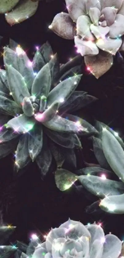 Sparkling succulents on dark background mobile wallpaper.