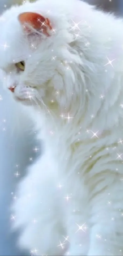 Fluffy white cat with sparkling stars background.