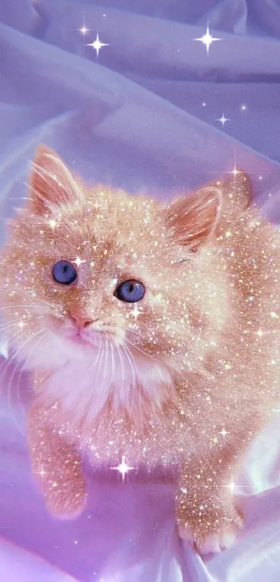 Cute sparkly kitten on purple fabric background.