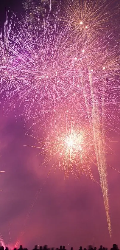 Magenta fireworks explode in night sky above silhouetted crowd.