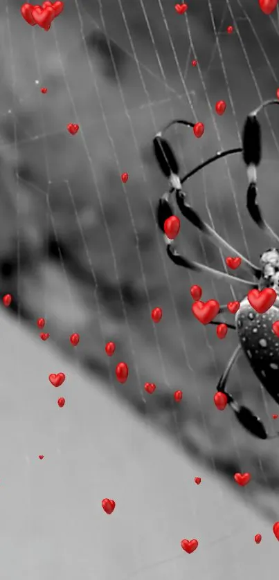 Spider on web with small red hearts scattered around.