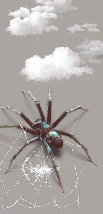 Spider on web with clouds, unique wallpaper design.