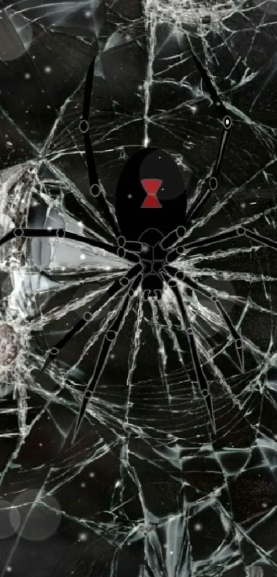 Spider on shattered glass background design.