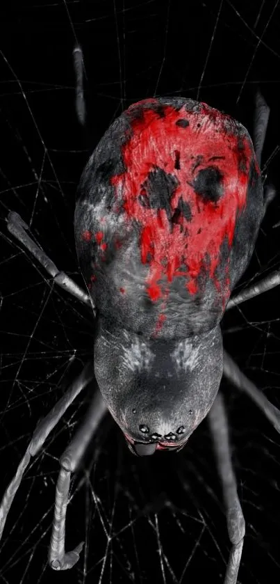 Spider with red skull pattern on a web, artistic and eerie mobile wallpaper.