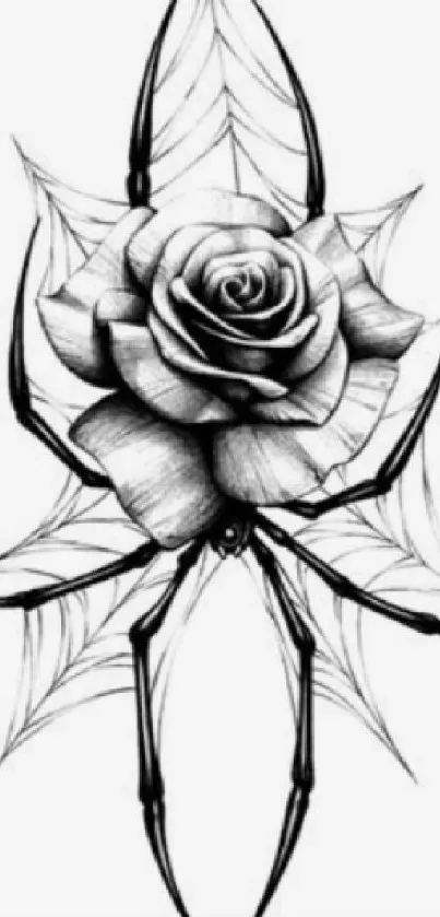 Minimalist black and white spider with rose wallpaper for phone.