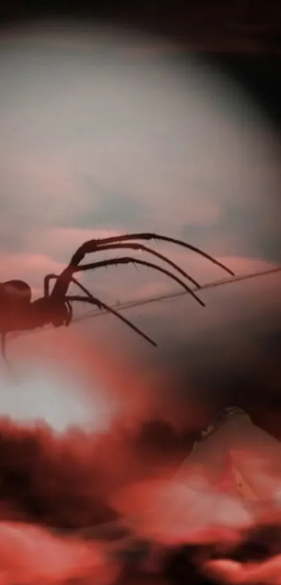 Eerie spider silhouette against a red sky background.