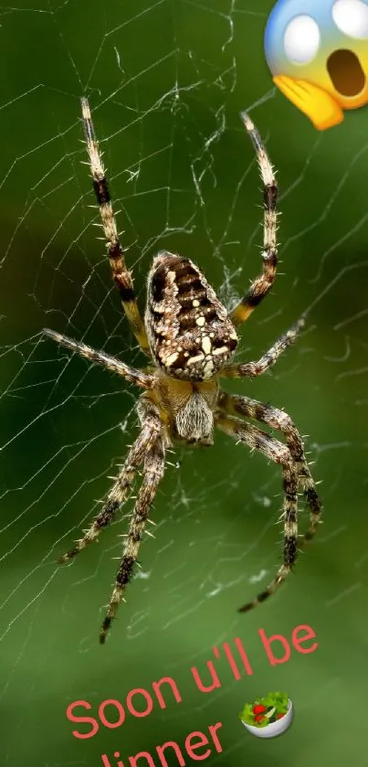 Spider on a web with a green background and shocked emoji.