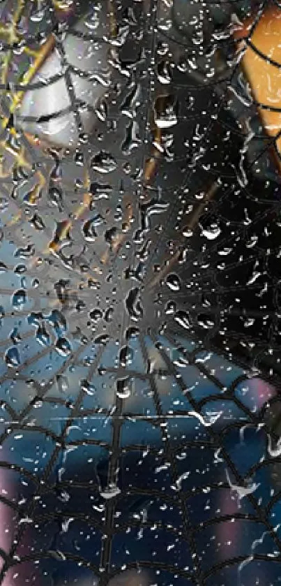 Spider web with raindrops against colorful abstract background.