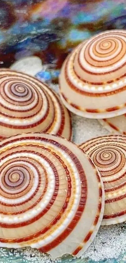 Close-up of spiral seashells on the sand with a colorful ocean background.