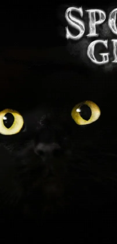 Spooky black cat eyes with ghost text.