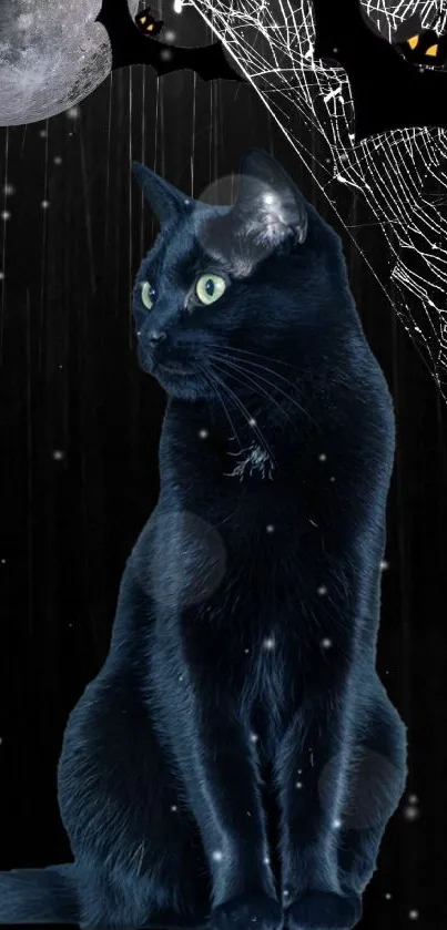 Eerie black cat under a full moon with bats and spider web background.