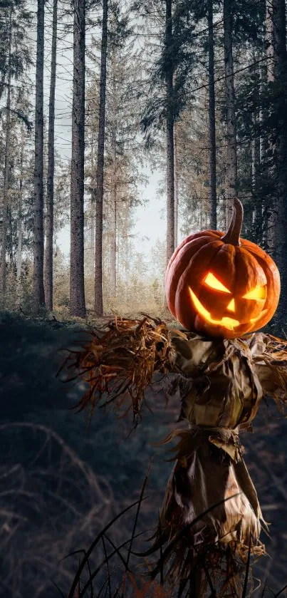 Halloween forest wallpaper with a pumpkin-headed scarecrow glowing in the dark.