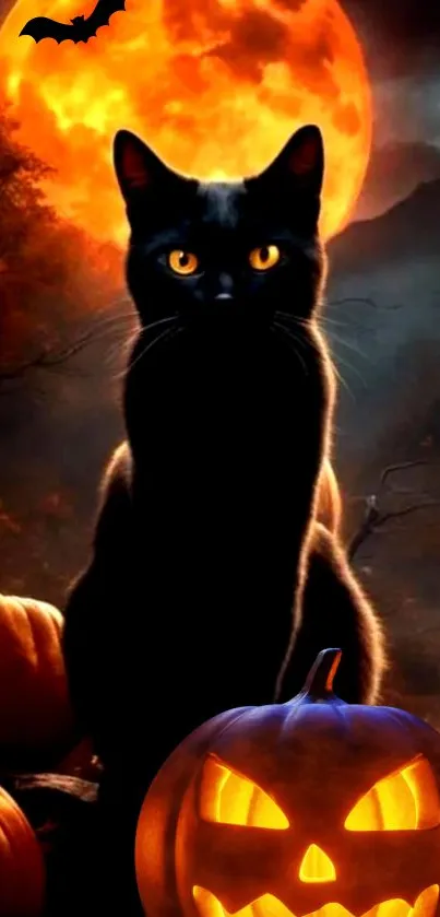 Halloween wallpaper with black cat and glowing pumpkins under a full moon.