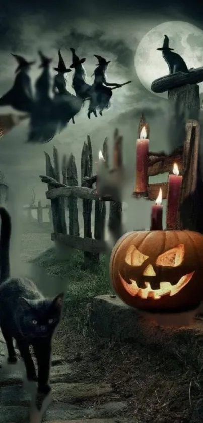 Black cat and pumpkin on spooky Halloween night path with flying witches.