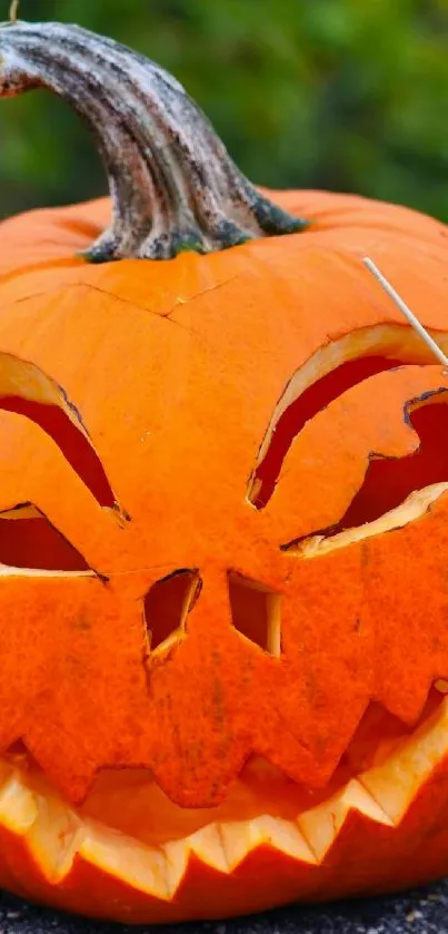 Carved Jack-O'-Lantern with spooky face on orange pumpkin.