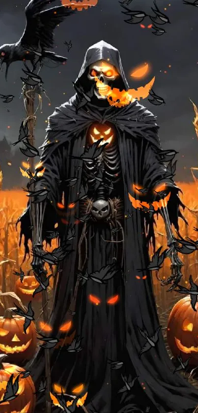 Halloween skeleton in a cornfield with pumpkins and a crow.