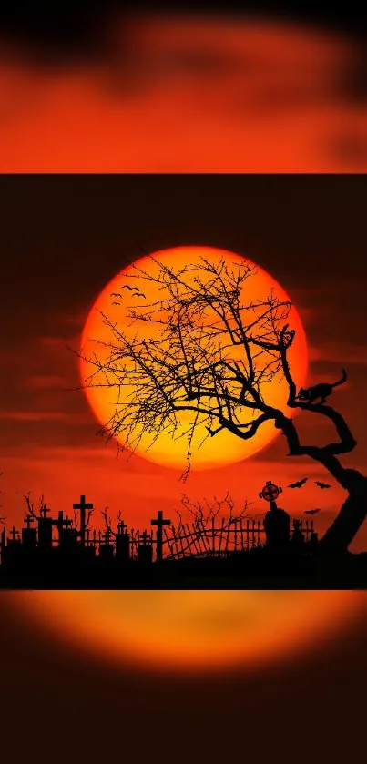 Halloween themed wallpaper with tree silhouette and fiery sunset.