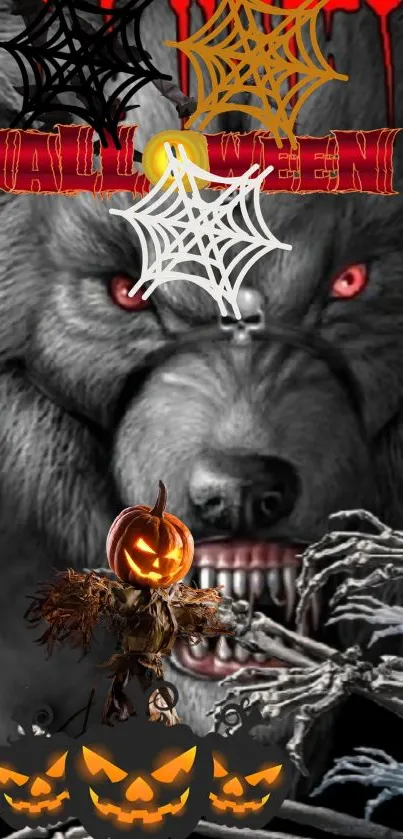 Eerie Halloween wolf wallpaper with pumpkins and webs.