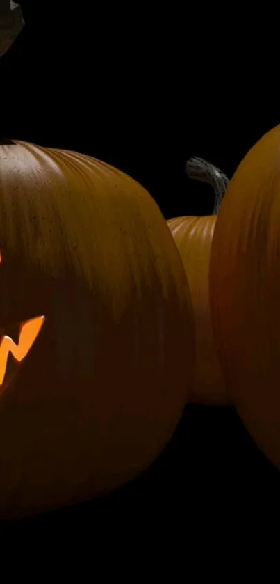 Spooky Halloween pumpkin with glowing face on a dark background.