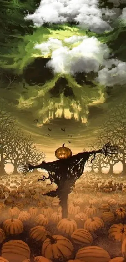 Halloween night with skull clouds over pumpkin patch.