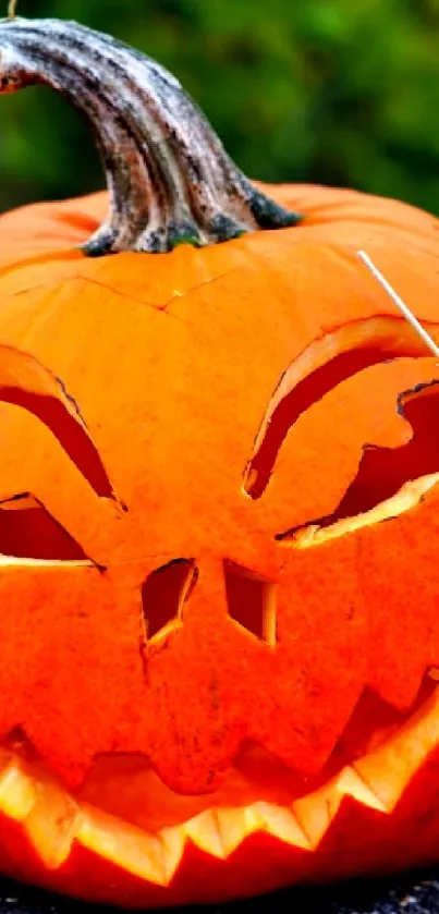 Spooky jack-o'-lantern set on stone against blurred greenery.