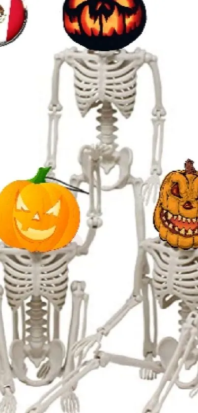 Three skeletons with pumpkin heads for Halloween decoration.