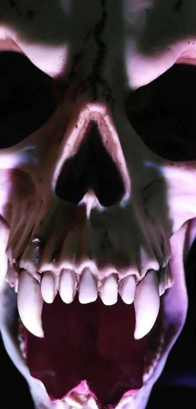 Spooky skull wallpaper with eerie lighting.