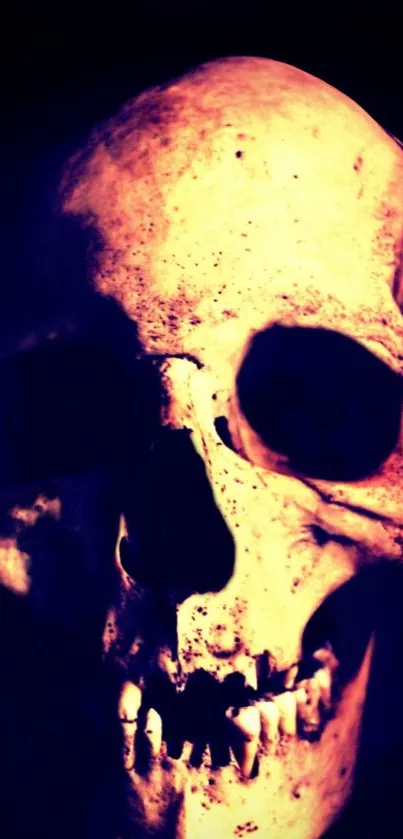 Eerie illuminated skull wallpaper with dark background.
