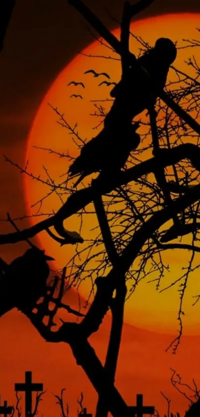 Silhouetted ravens on tree with orange sunset backdrop.