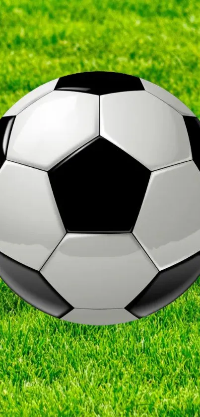soccer Live Wallpaper