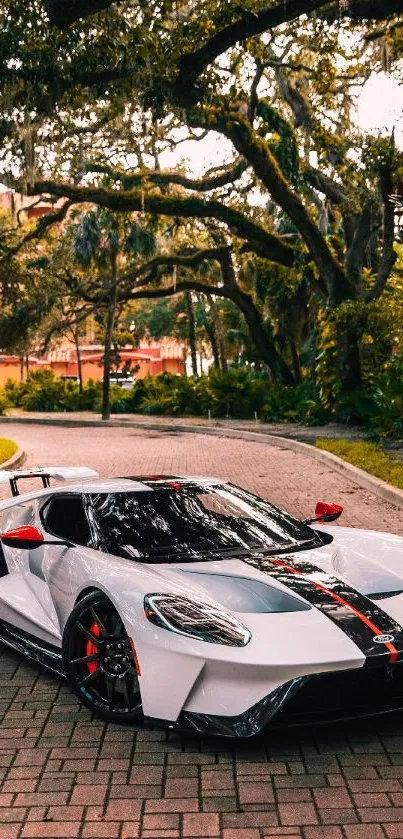 White and black sportscar parked under shady trees on a brick path.